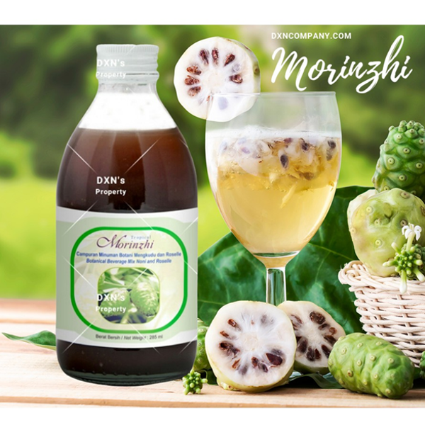 DXN Morinzhi Syrup 285ml In Pakistan