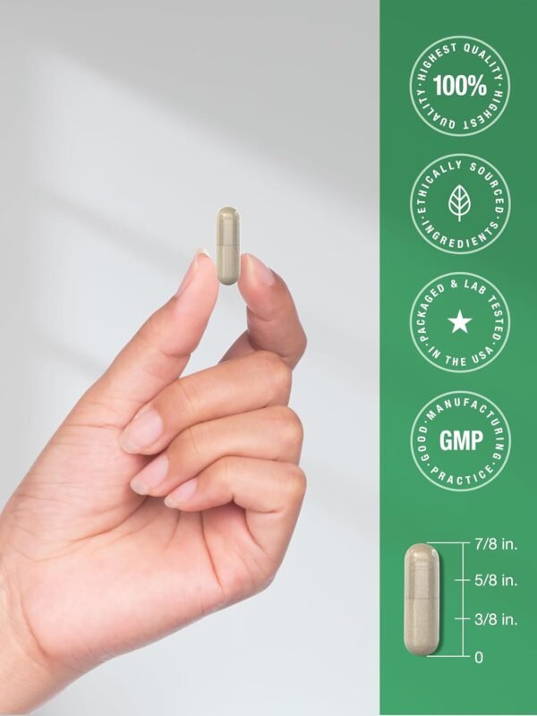 Horbäach Ashwagandha 450mg Supplement - Image 5