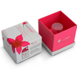 Everteen Vaginal Tightening Gel Price in Pakistan