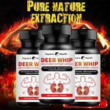 Deer Whip Maca Kidney Support 60 Capsules In Pakistan