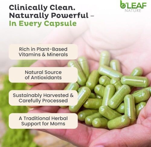 B’leaf Nature Moringa Leaf Powder